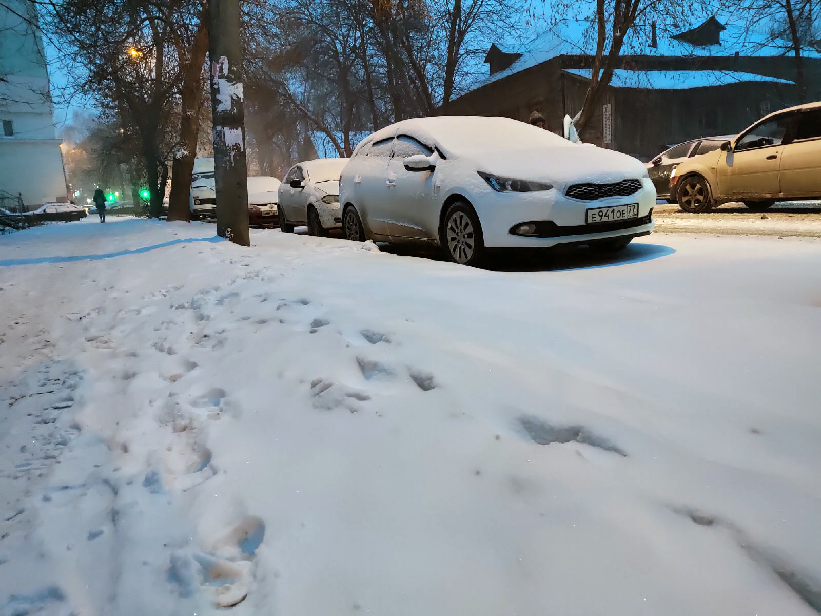 Тульская калуга снегопад