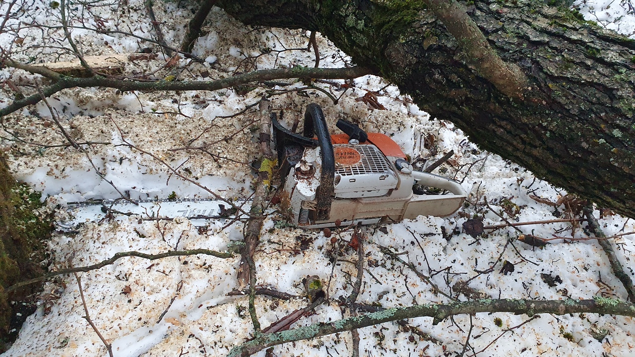 Калуга упало дерево погиб лесоруб Следственный комитет