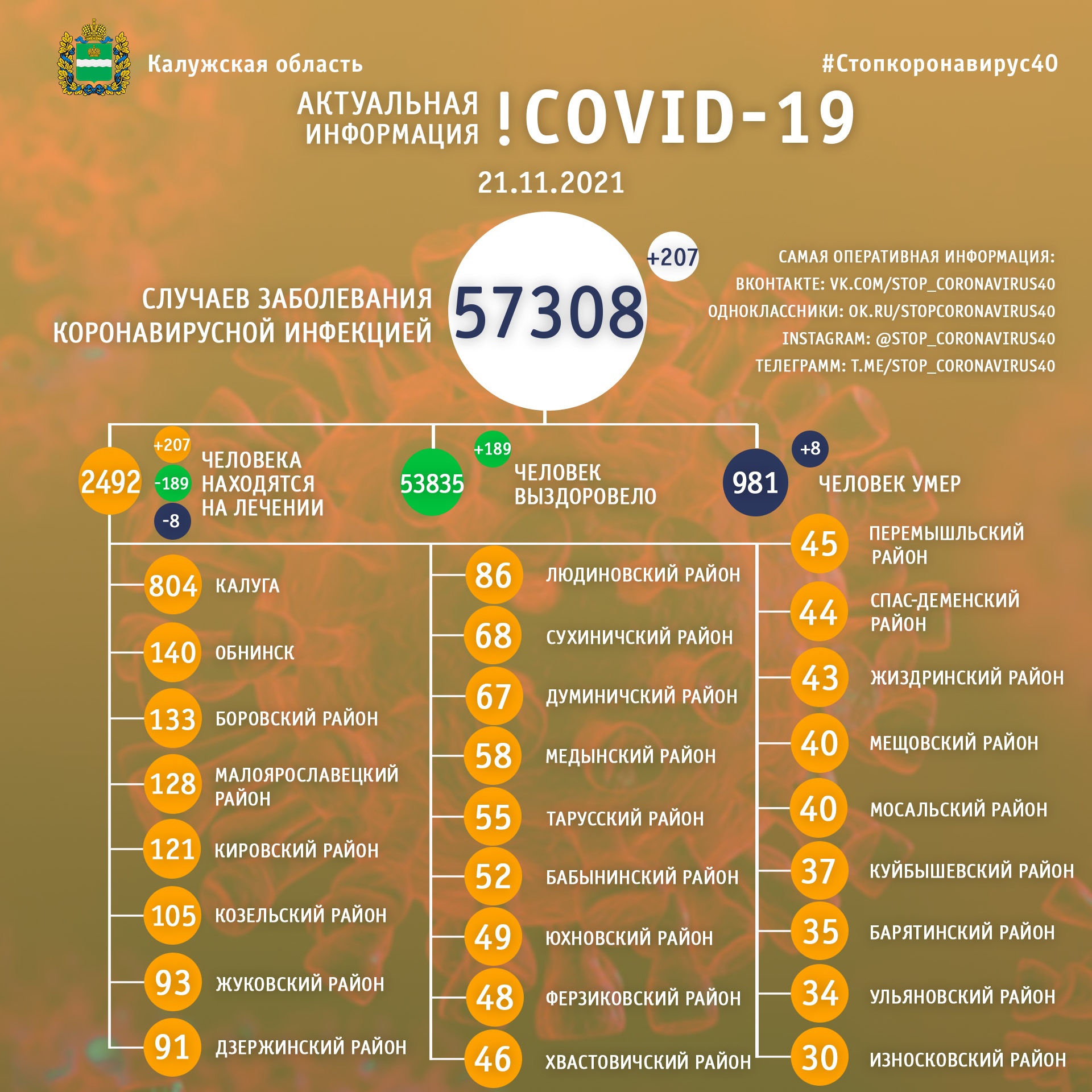 Официальная статистика по коронавирусу в Калужской области на 21 ноября 2021 года.