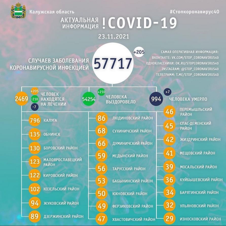 Официальная статистика по коронавирусу в Калужской области на 23 ноября 2021 года.