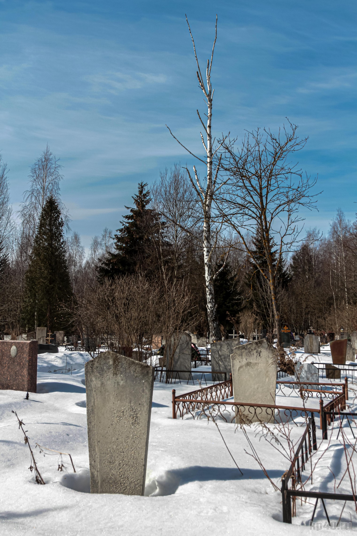 Что творится на кладбищах Калуги после зимы - Статьи, аналитика, репортажи  - Новости - Калужский перекресток Калуга