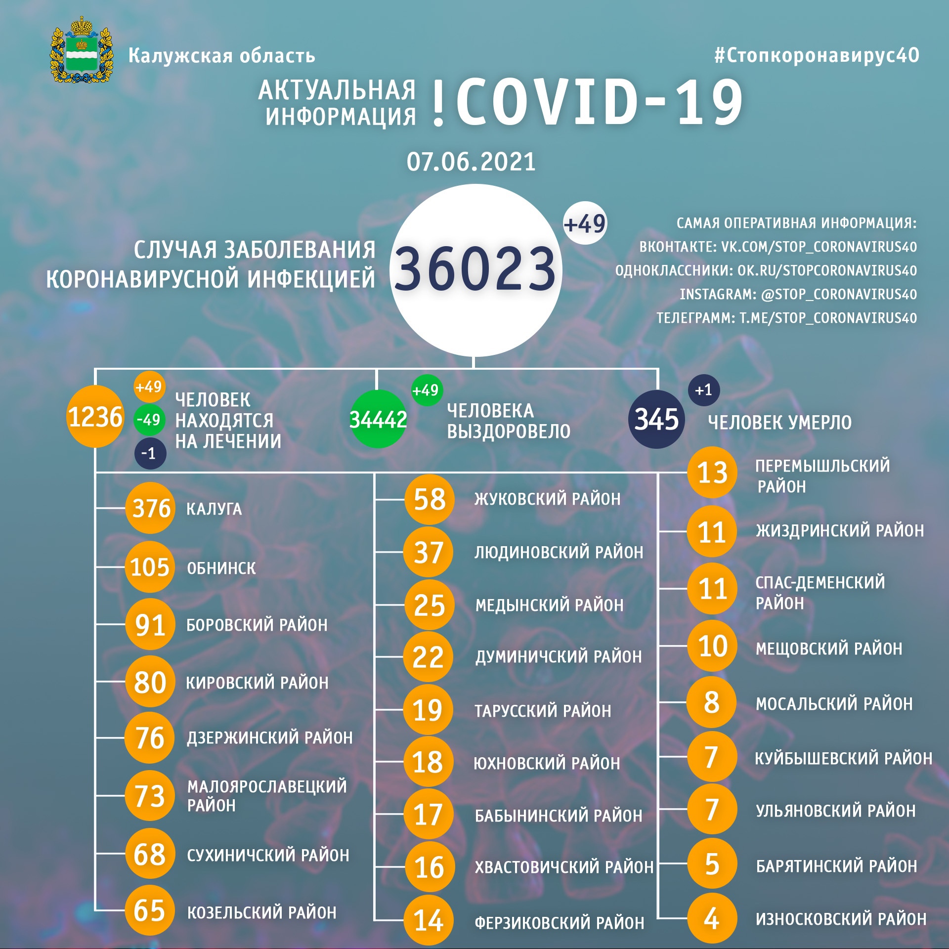 Официальная статистика по коронавирусу в Калужской области на 7 июня 2021 года.