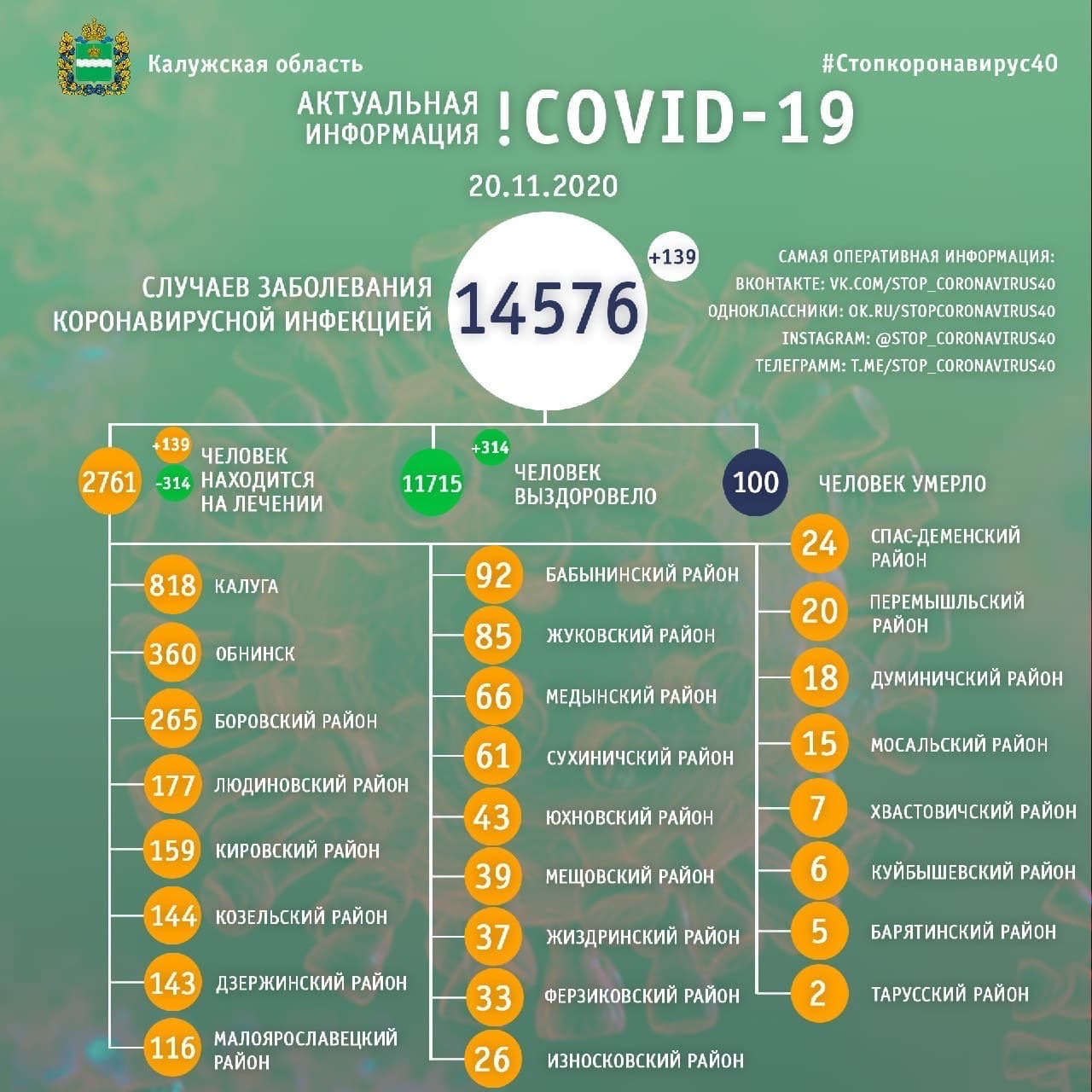Официальная статистика по коронавирусу в Калужской области на 20 ноября 2020 года.