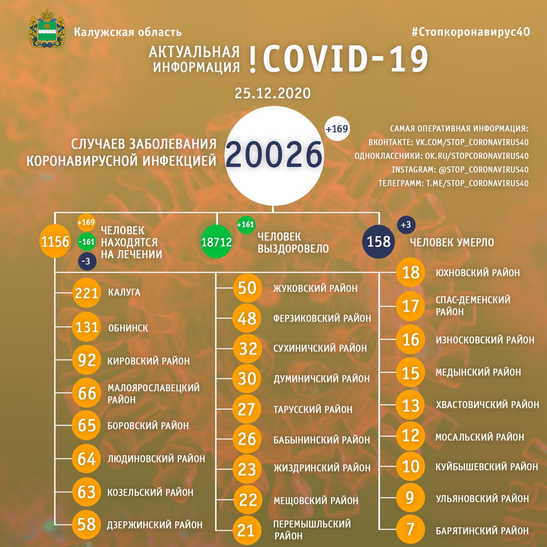 Официальная статистика по коронавирусу в Калужской области на 25 декабря 2020 года.