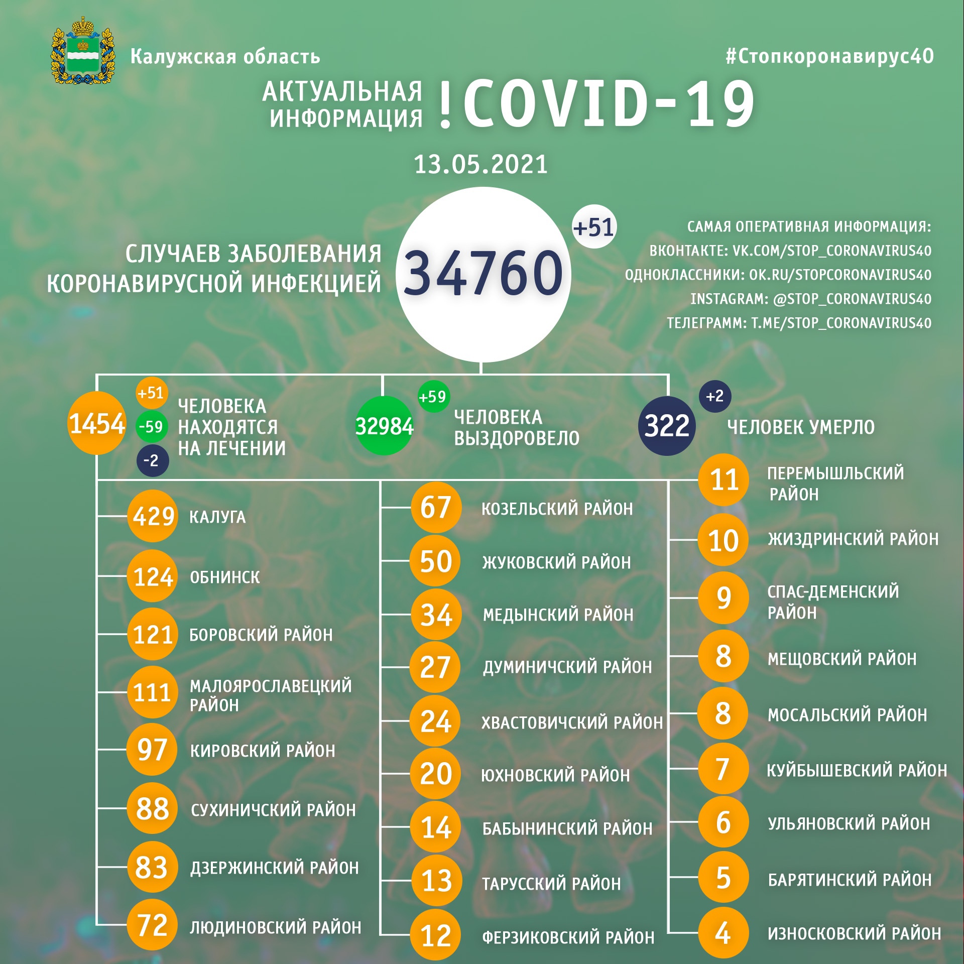 Официальная статистика по коронавирусу в Калужской области на 13 мая 2021 года.