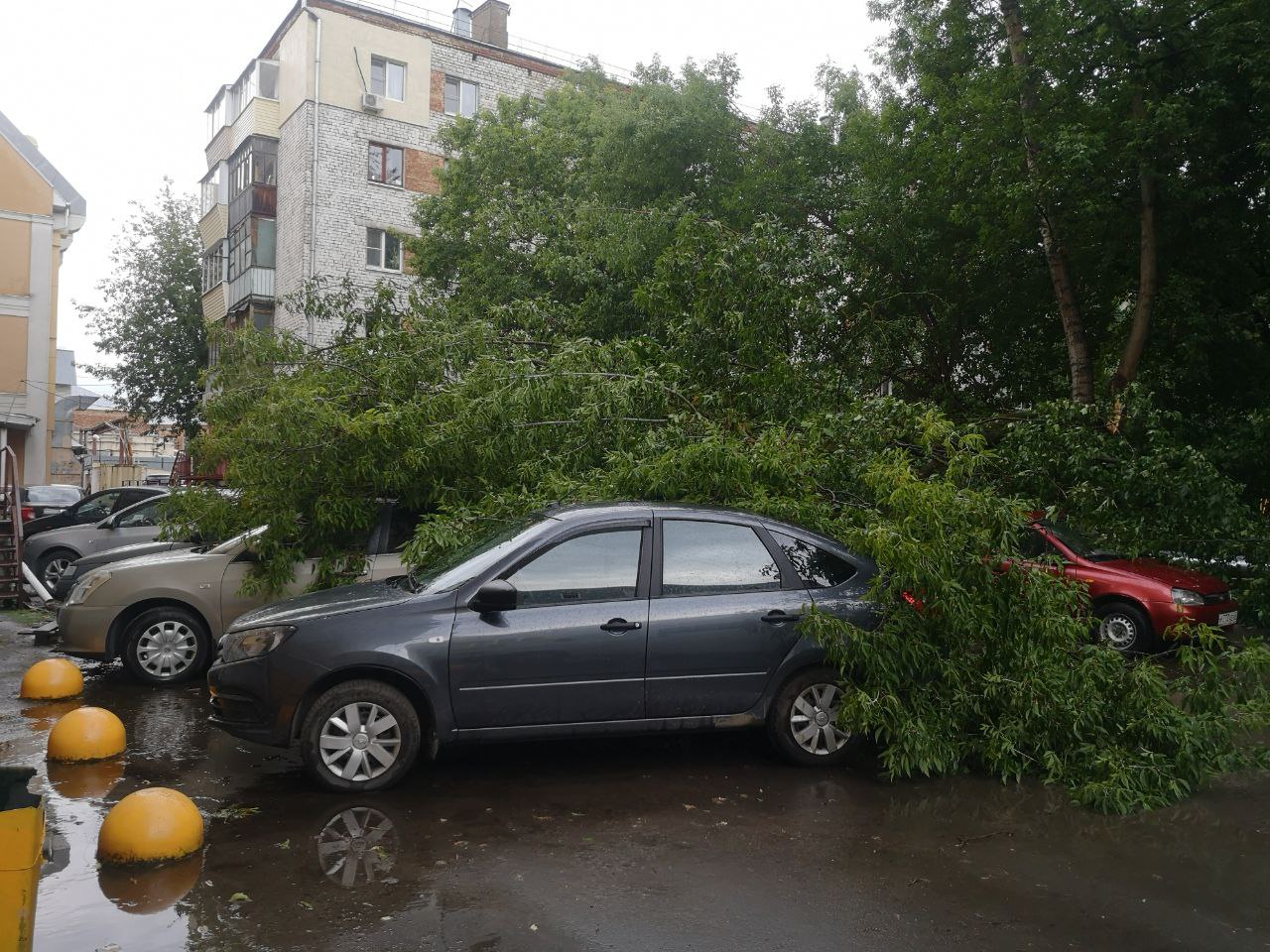 Что натворил ураган в Калуге. Фоторепортаж с улиц и парков города -  Общество - Новости - Калужский перекресток Калуга