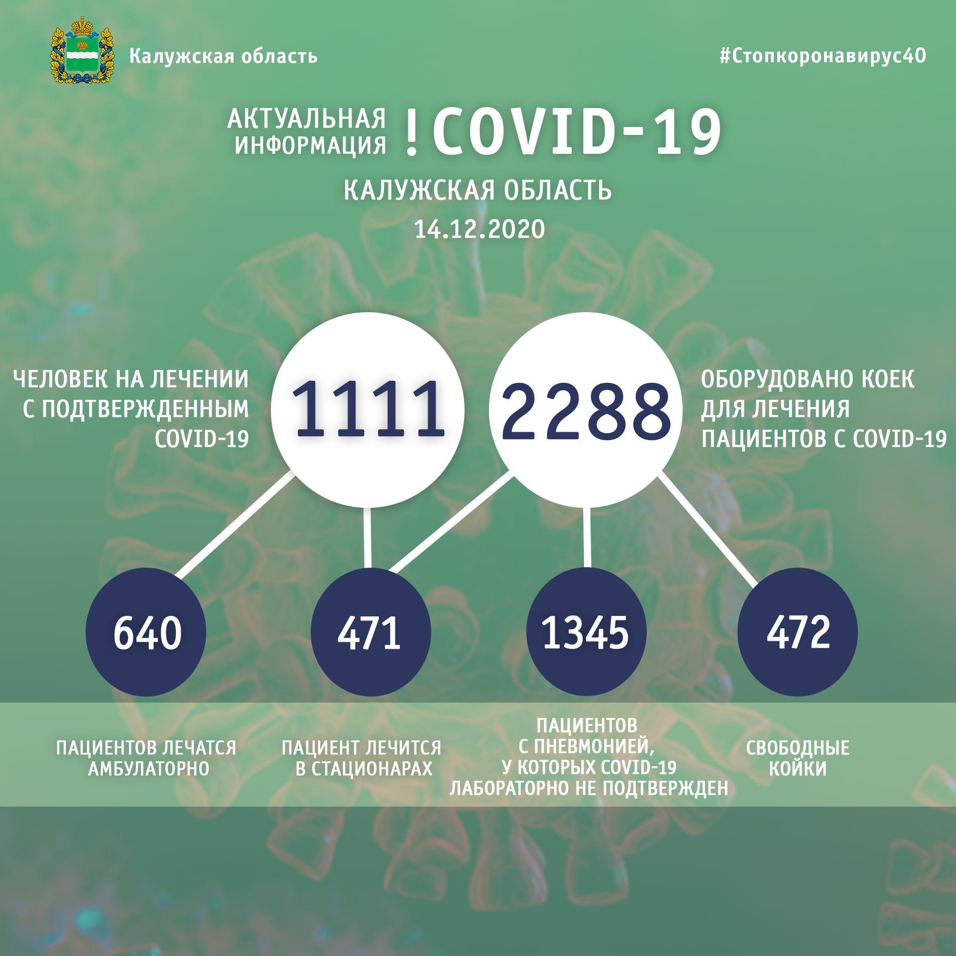 коронавирус в калужской области статистика