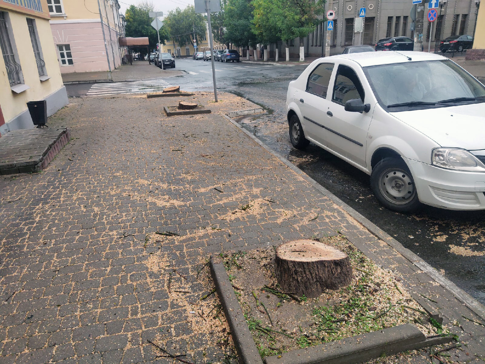 В Калуге спилили три дерева на улице Театральной - Благоустройство -  Новости - Калужский перекресток Калуга