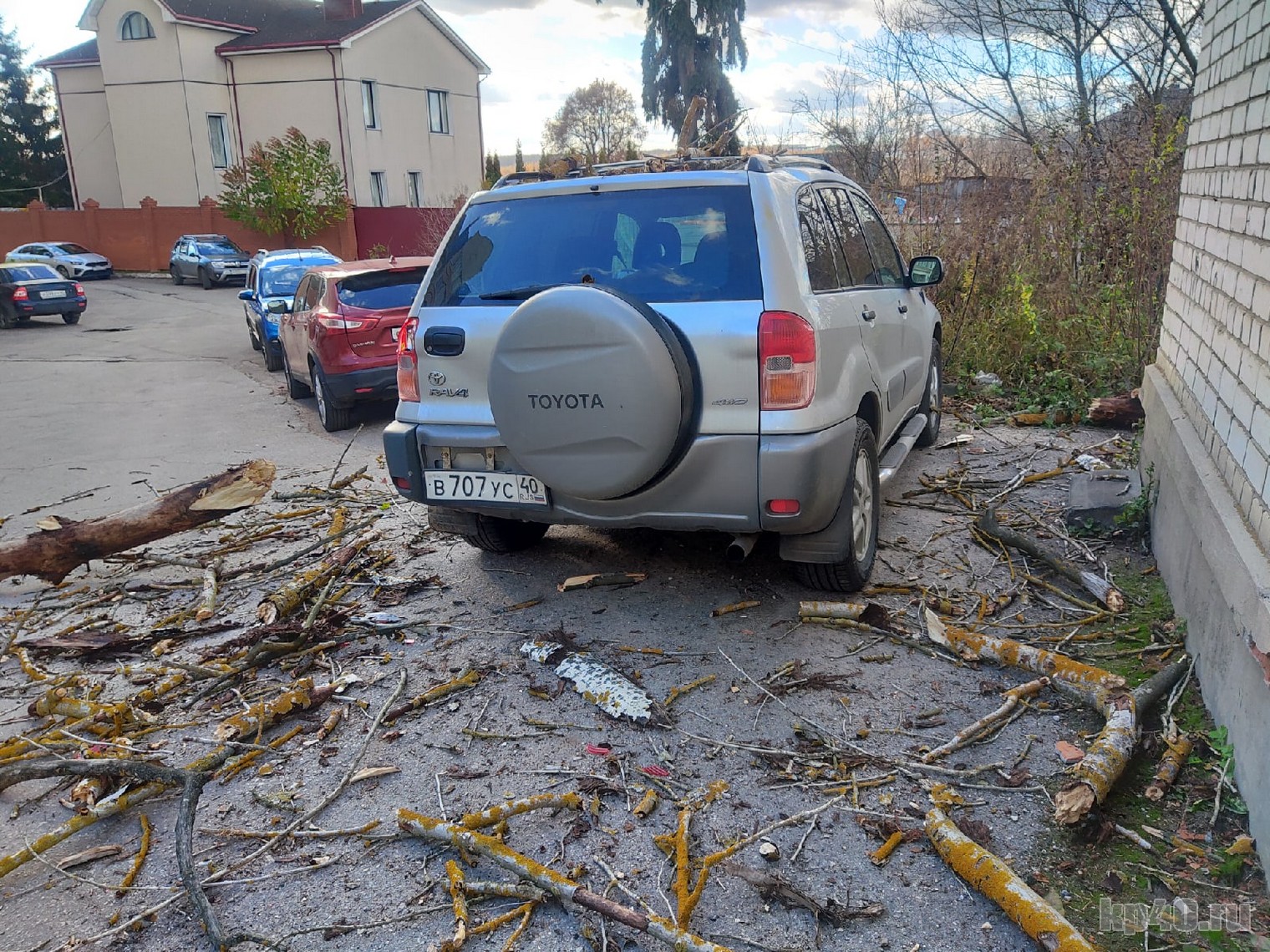 В Калуге дерево упало на припаркованный автомобиль - Происшествия - Новости  - Калужский перекресток Калуга