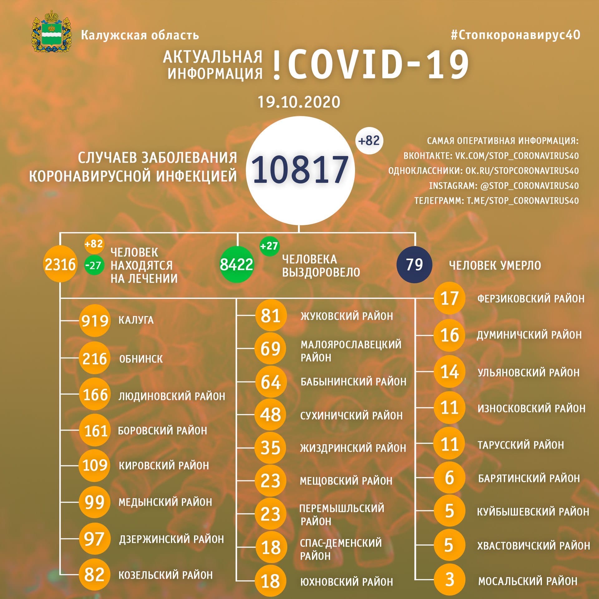 Официальная статистика по коронавирусу в Калужской области на 19 октября 2020 года.