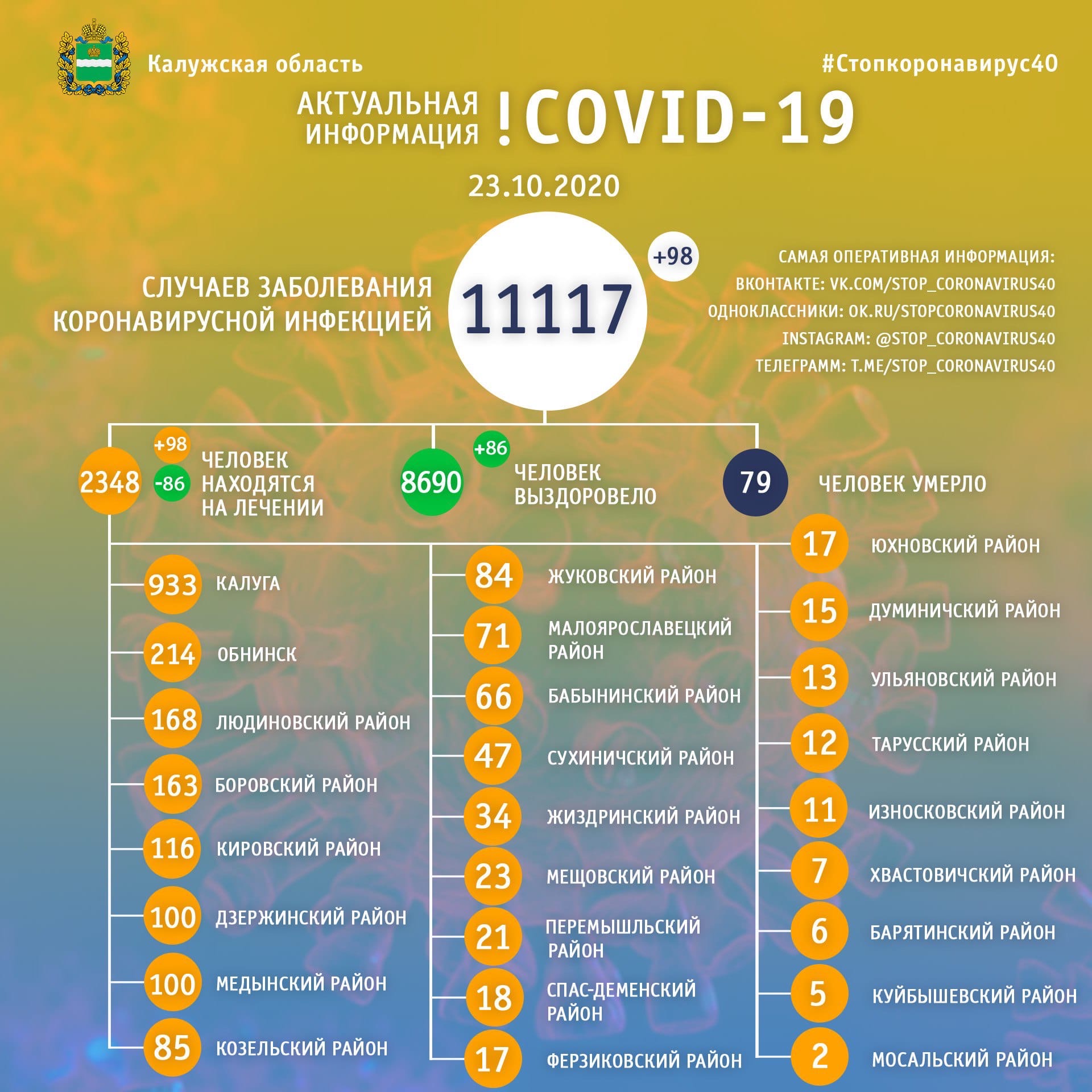 Официальная статистика по коронавирусу в Калужской области на 23 октября 2020 года.