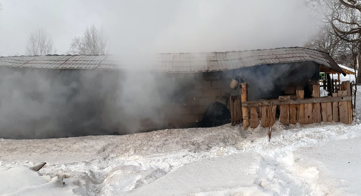 пожар козы погибли калужская область