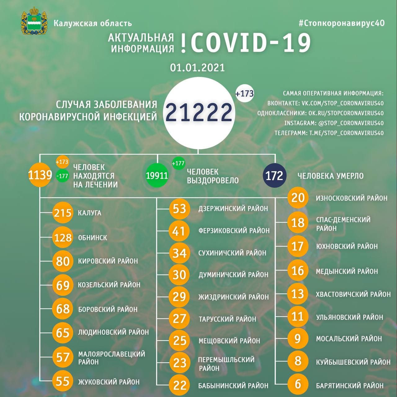 Официальная статистика по коронавирусу в Калужской области на 1 янвваря 2021 года.