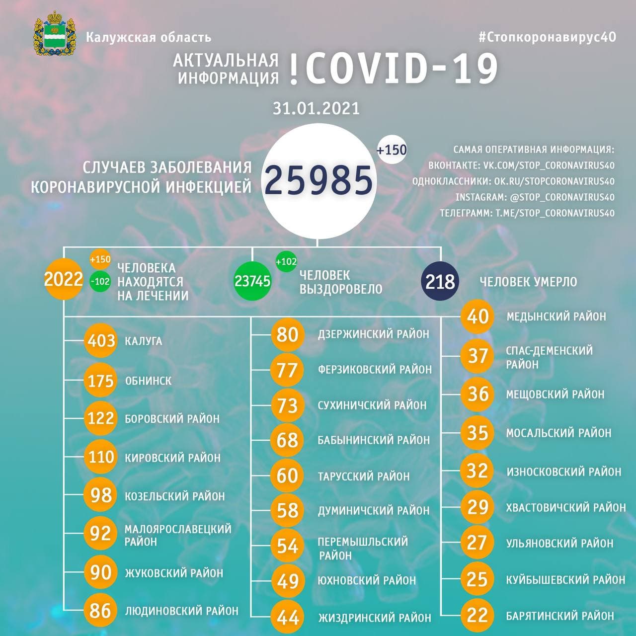 Официальные данные по коронавирусу в Калужской области на 31 января 2021 года.