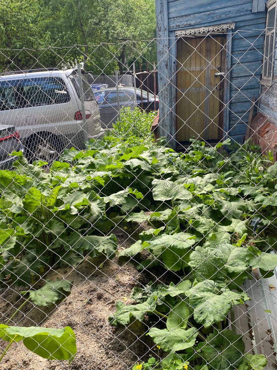 Дом Циолковского в Калуге превратился в бомжовский притон. Опять - Статьи,  аналитика, репортажи - Новости - Калужский перекресток Калуга