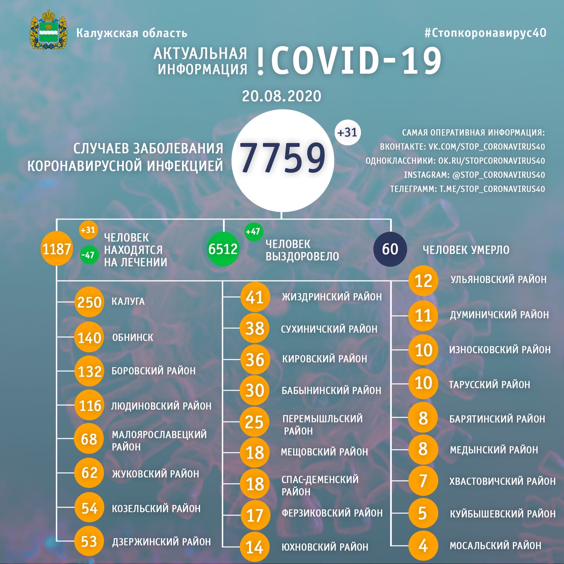 Официальная статистика по коронавирусу в Калужской области от регионального оперативного штаба на 20 августа 2020 года.
