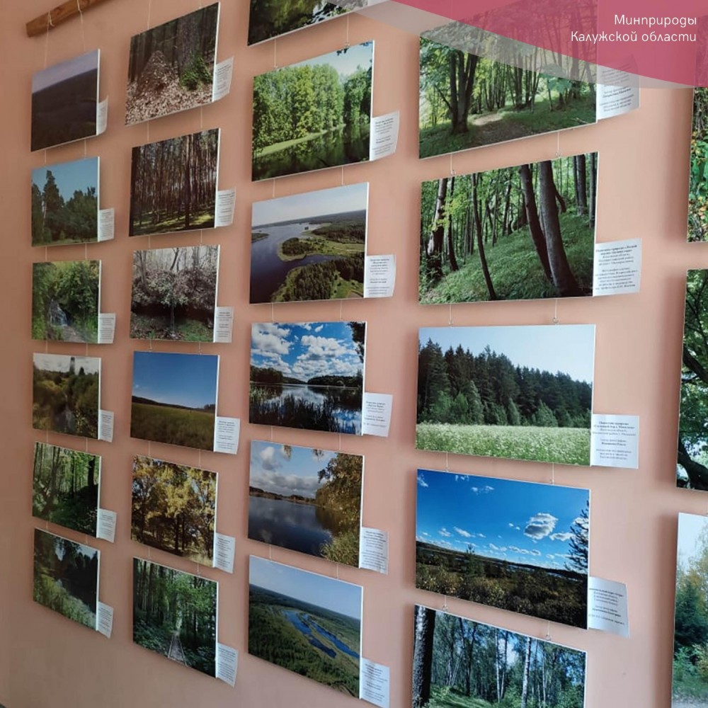 В Калужской области открылись две фотовыставки - Общество - Новости -  Калужский перекресток Калуга