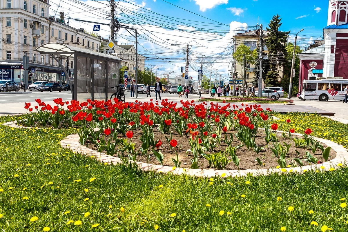 Проект калужская область