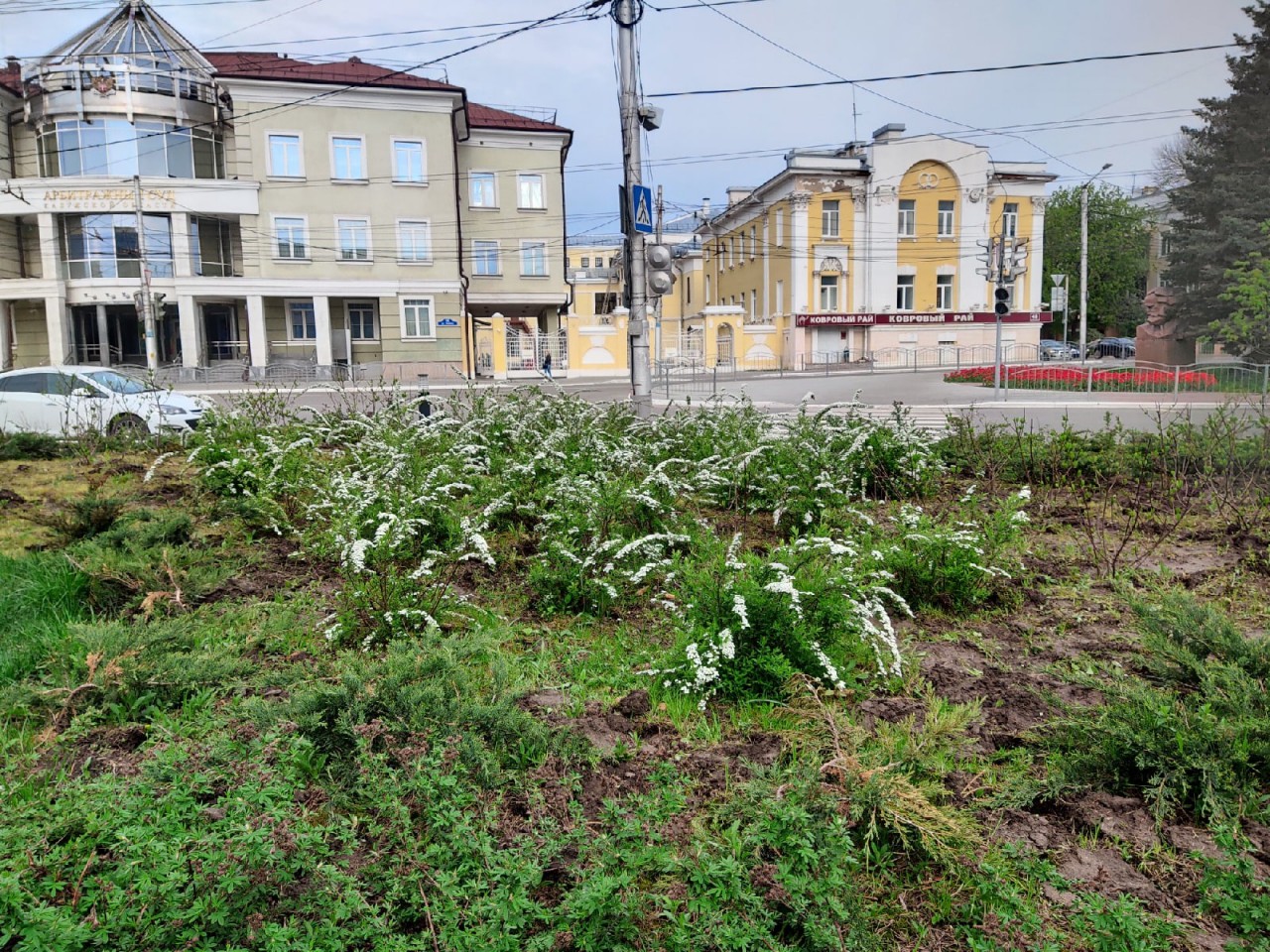 Погода в калужской. Майская 15 Калуга. Погода в Калуге. Погода на сегодня Калуга Калужская. Погода Калужская обл.