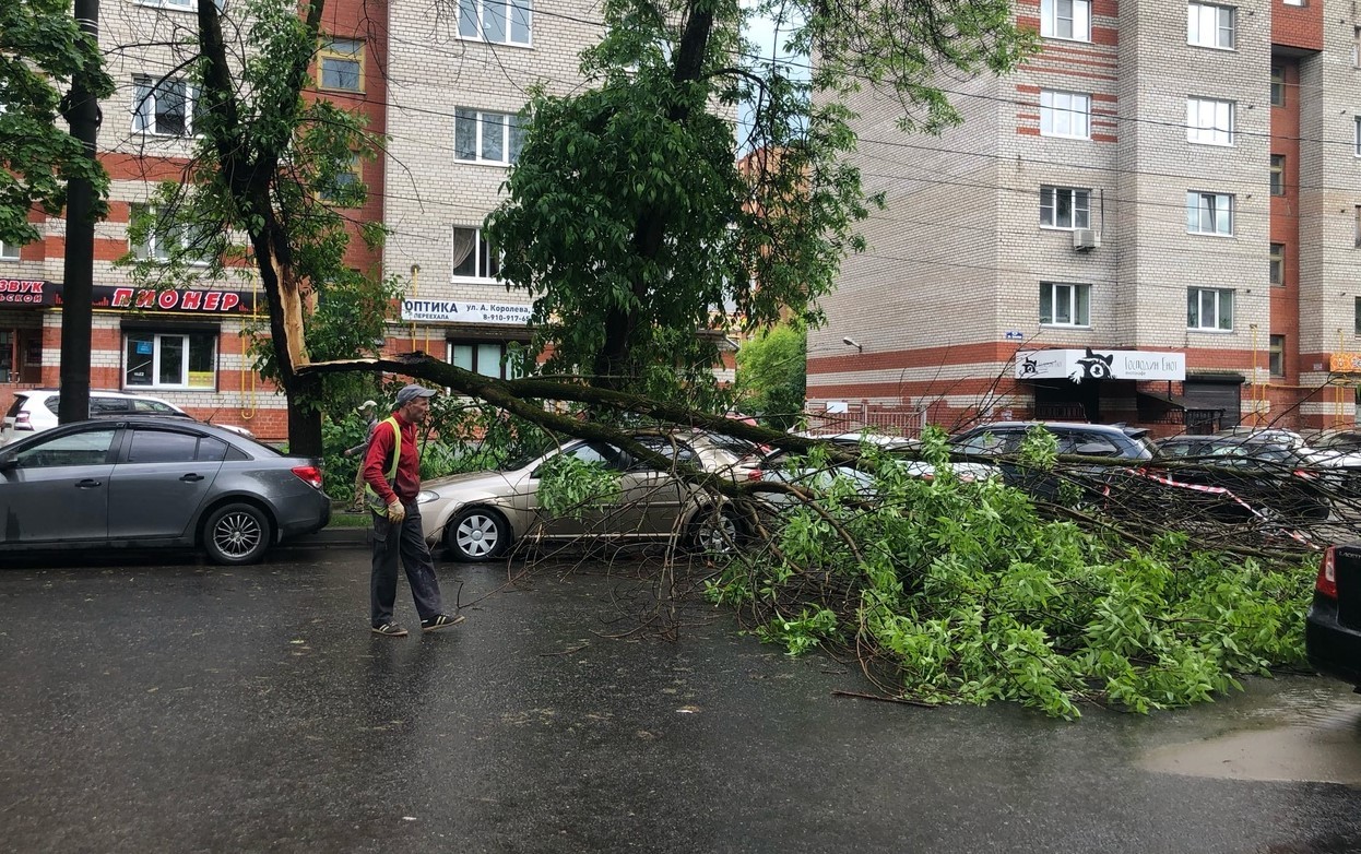 Дерево упало на автомобиль