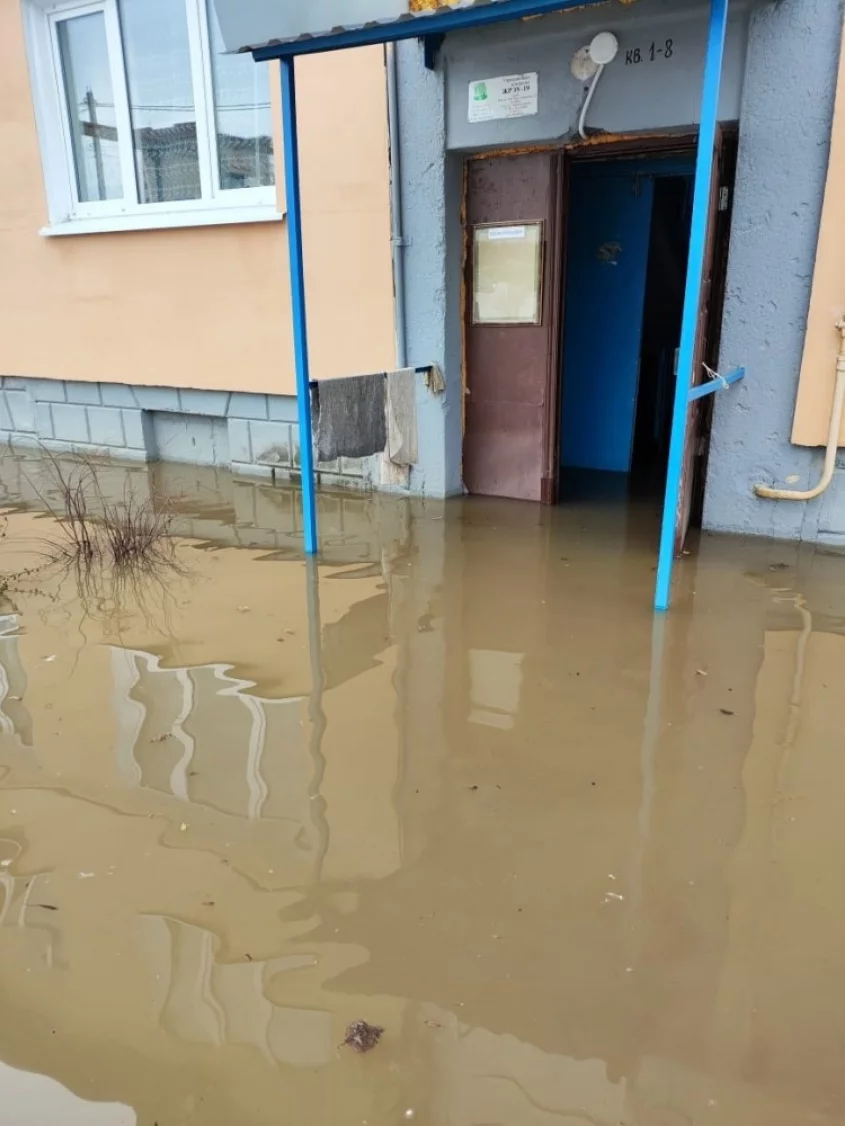 В Калуге затопило подъезд жилого дома - Недвижимость и ЖКХ - Новости -  Калужский перекресток Калуга