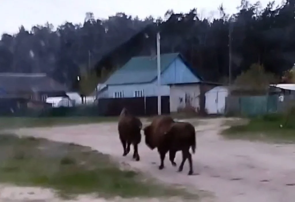 Подростки на самокате сбили жительницу Челябинска на тротуаре. У нее переломы руки и ноги (видео)