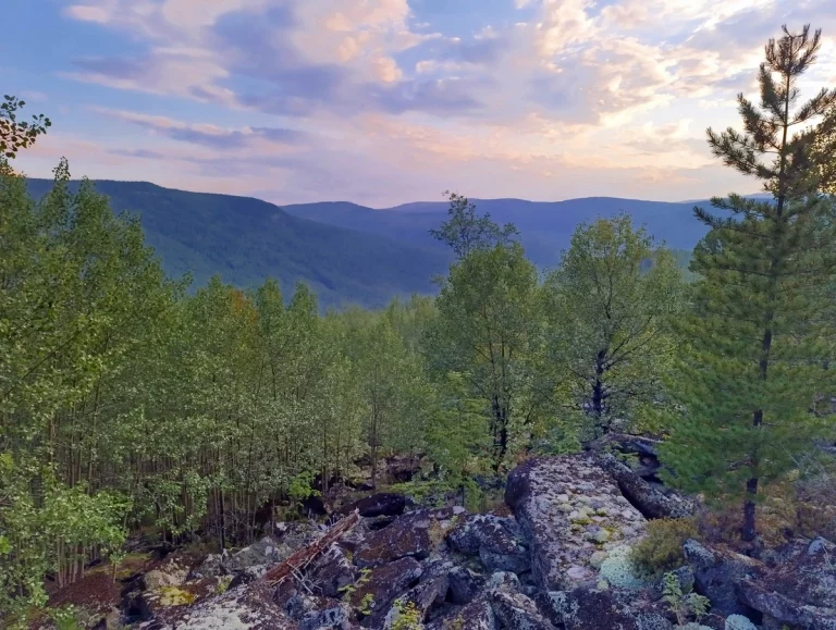 В Сибири красота такая, что сразу влюбляешься в эти края.