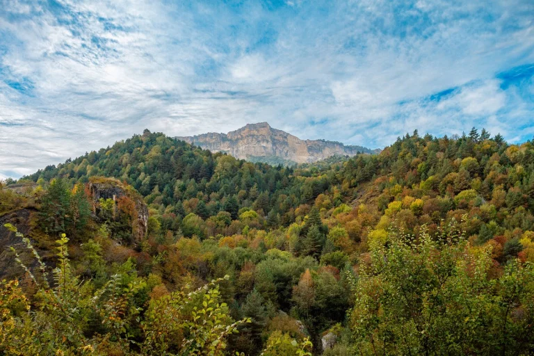 Осень в этом году очень красивая. 