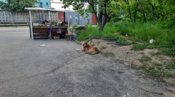 Погода в Калининграде в мае ☁ - точный прогноз на « по Цельсию»